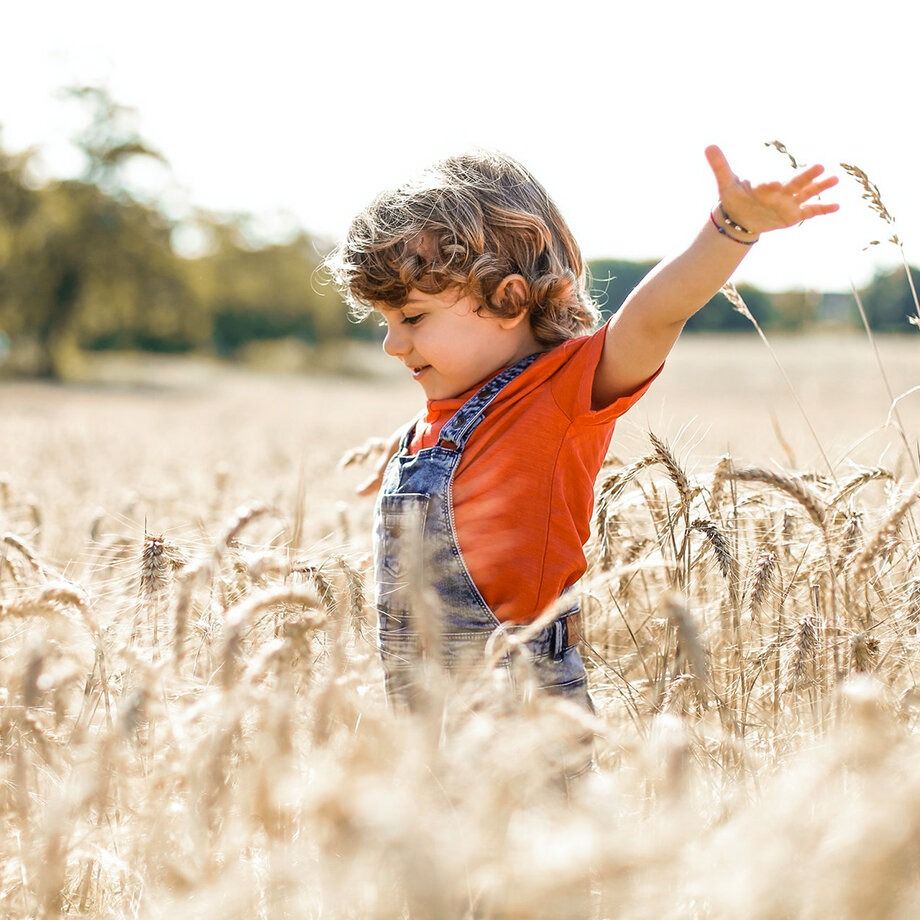 Enfant les bras levés dans un champ de blé mûr
