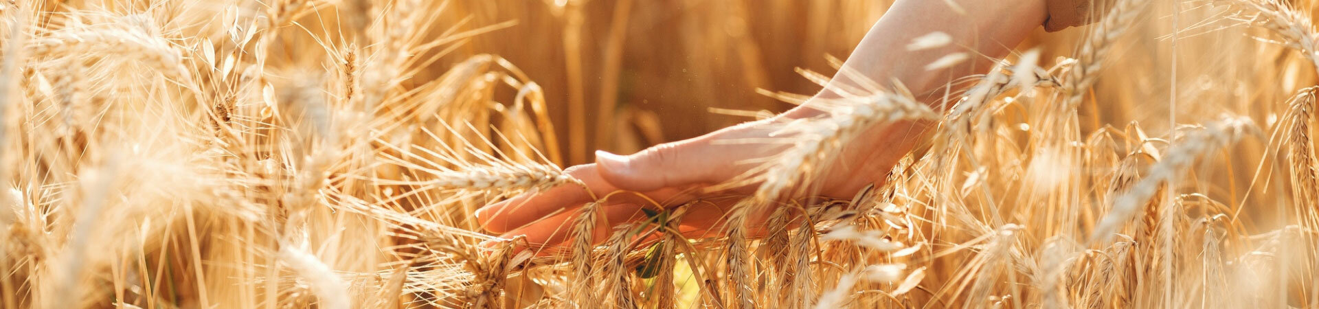 Avis clients - Nim’Grain - Agriculteurs secteurs Nîmes 